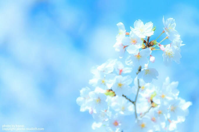 お悩みお話ししてみませんか？丁寧にお聞きします 相場よりお安くしています。心理学に紐付けてお話しします イメージ1