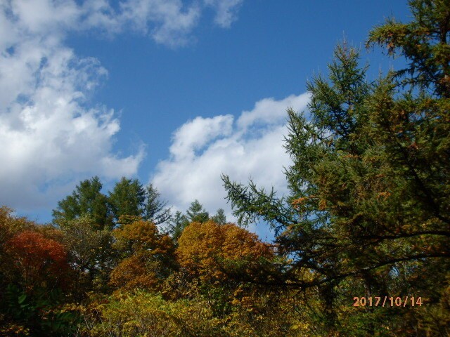 今日の美瑛＆富良野を撮ります 美瑛＆富良野が好きだけど、なかなか来られないあなたの代わりに イメージ3