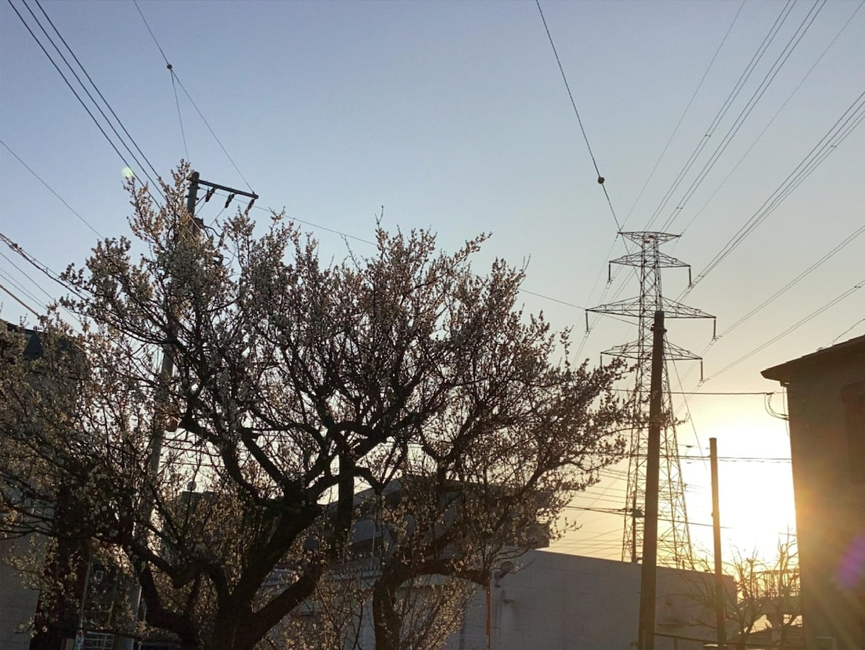 東京近辺どこでも喜んで！街の写真を撮ってきます この街はどんな街？あなたの代わりに訪問して写真を提供します イメージ3