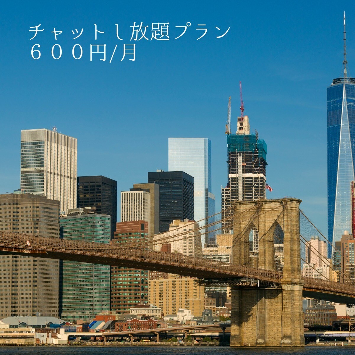 月１０００円で英語の話し相手になります 英語をとにかく多く実践したい方へ イメージ1