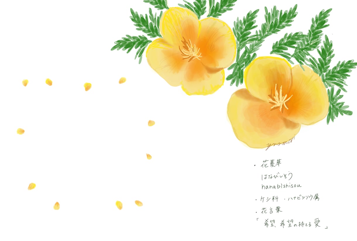 シンプル可愛い植物のイラスト描きます シンプル可愛い植物のイラストを描きます。挿絵やポストカードに イメージ4