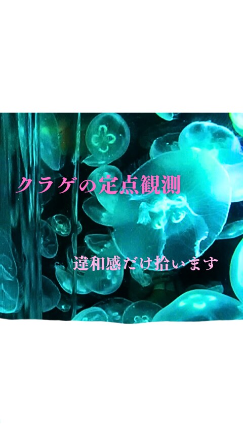 クラゲの定点観測現場の違和感だけ拾います 現場の声が聞けない、何かの違和感を持って仕事している方へ イメージ1