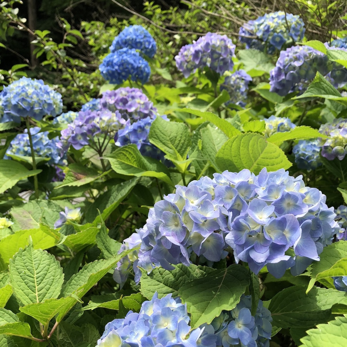 とにかく話を聞いてほしい方、私がお相手します 一人暮らしの方大歓迎！愚痴、自慢話などなんでも聞きます！ イメージ3