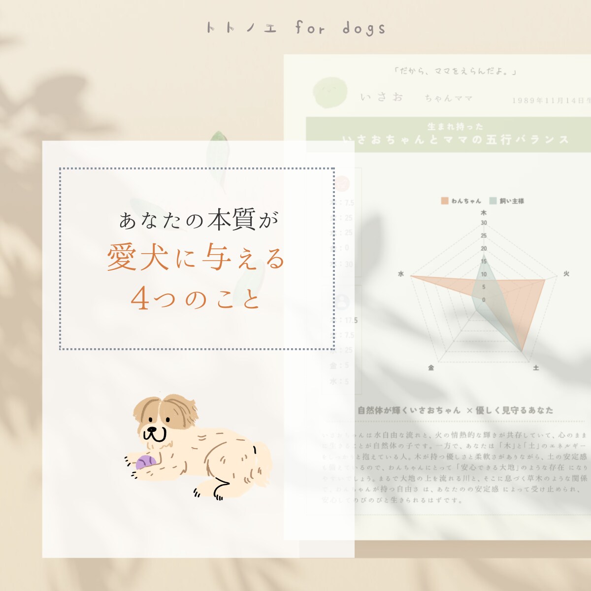愛犬が、あなたのそばにいる理由をひも解きます 五行ホンシツ鑑定と併せて、ふたりの特別なつながりをお届け イメージ3