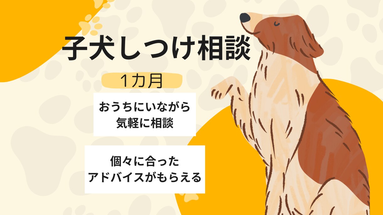 愛犬との暮らしを1カ月サポートします 日常の小さな疑問やお悩みもその都度ご相談OK｜1カ月継続 イメージ1