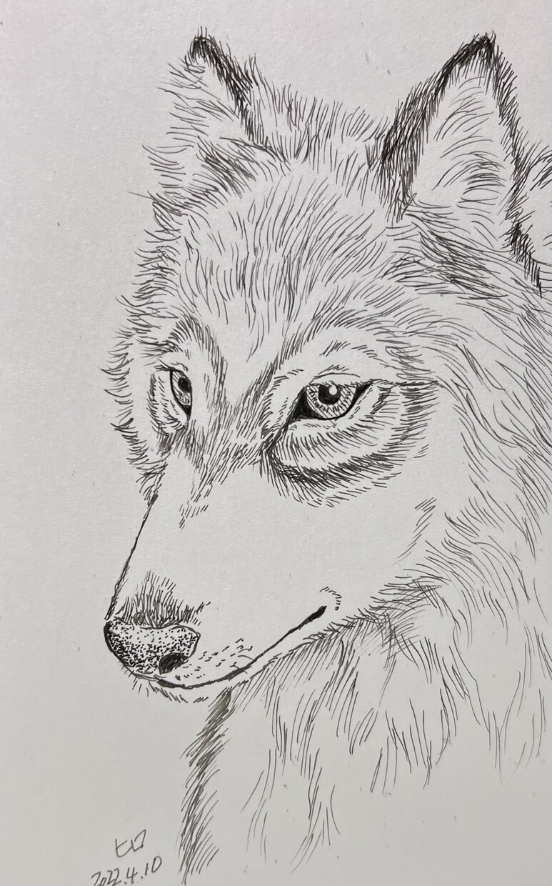 モノクロペンで描く、犬専門の似顔絵描きます 大切なご家族をペン画で一枚一枚、心を込めて手描きします。 イメージ1