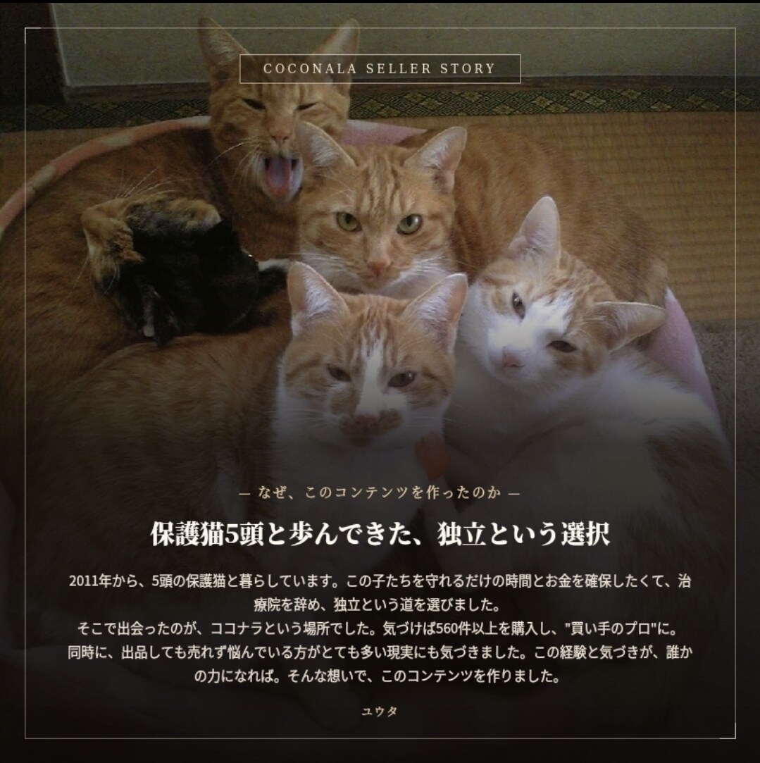 買い手のプロがココナラで売れない悩みを解決します 副業用3大特典付き｜プラチナ21人ヒアリング×心理学33法則 イメージ8