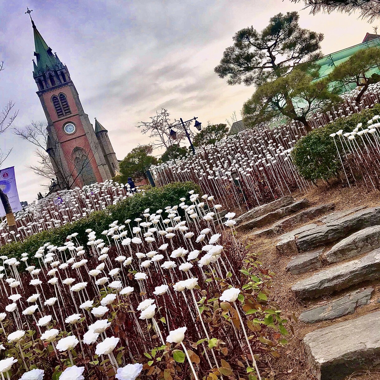 風景写真の写真提供を行います 韓国在住の私が韓国でしか撮れない風景写真を提供します！ イメージ4