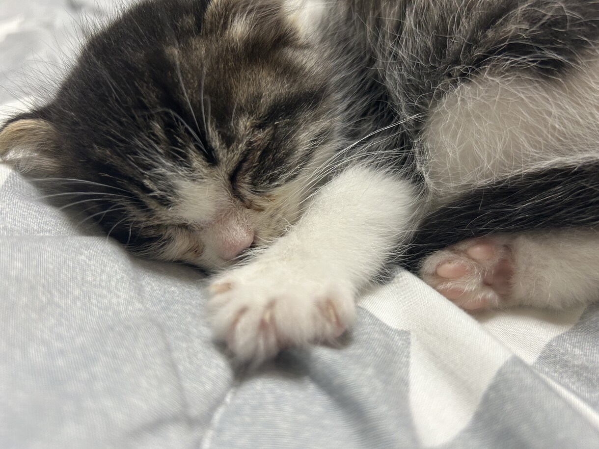 あなたは一人じゃないよ！僕がいます 夜になると不安になる、寂しさを感じる貴方、いつでも電話下さい イメージ8