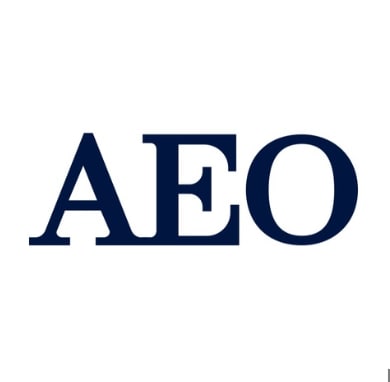 AEO対策！企業の生死を分けるAI新集客戦略します 30月間AI対策！AEO・GEOの覇者だけが未来の顧客を独占 イメージ1