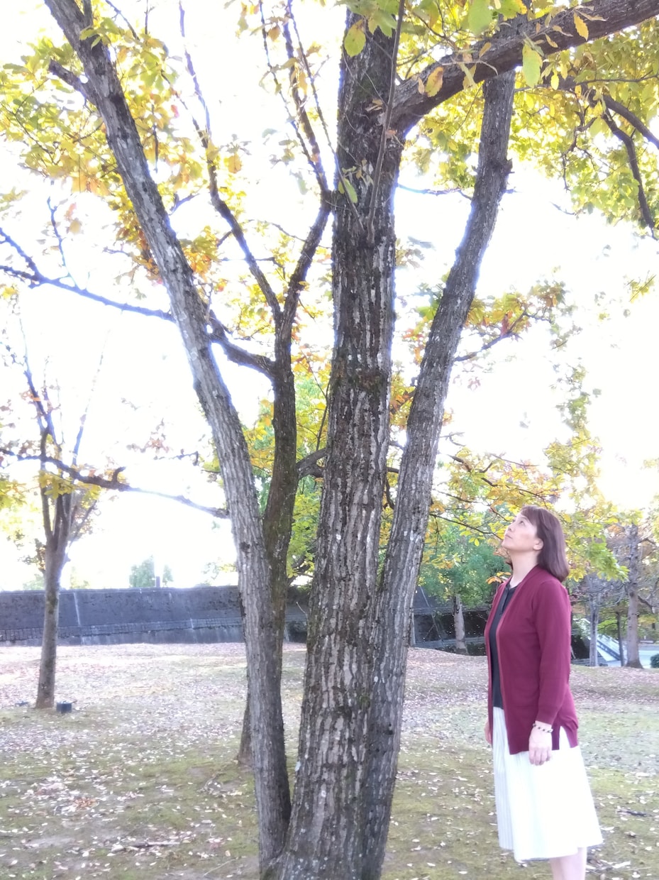 メンタルケアカウンセリングをしています 心を癒やし、明るい未来に繋げる、まごころカウンセリング イメージ1