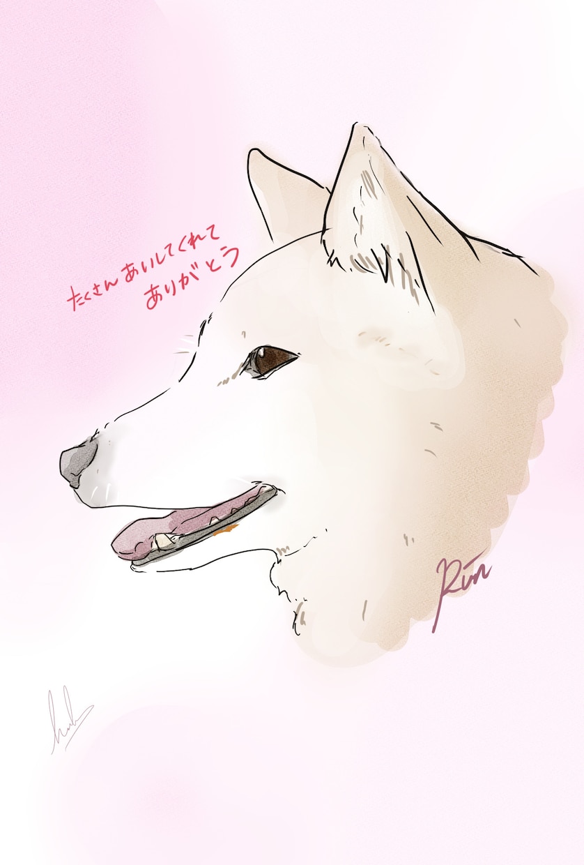 おうちの子を優しい雰囲気のイラストでお描きします 似顔絵・メモリアルギフトにも。 イメージ3