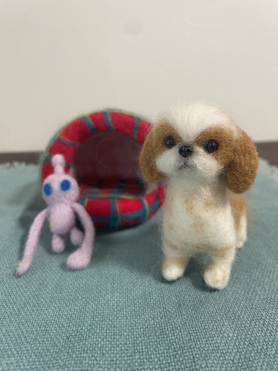 フジTVイット！出演・羊毛フェルトのペット作ります ペットちゃんとの思い出やご家族の想いもお人形に込めます イメージ7