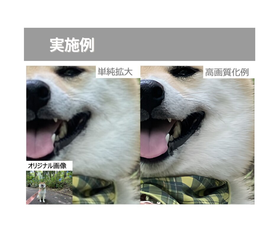 画像の高画質化を行います ボヤけた画像や小さい被写体もクッキリさせます イメージ3