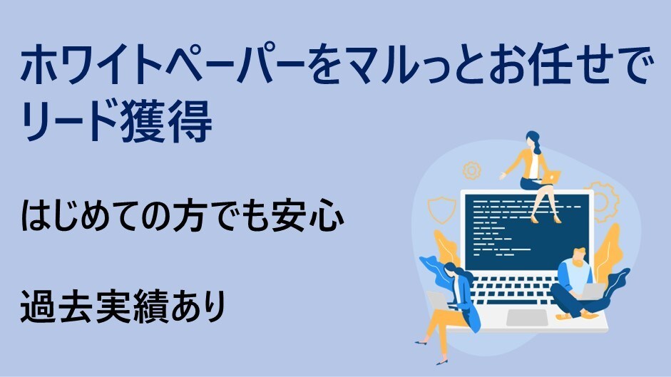 リード獲得できるホワイトペーパー作成　実績あります はじめての方でも安心  リード獲得過去実績あり イメージ1