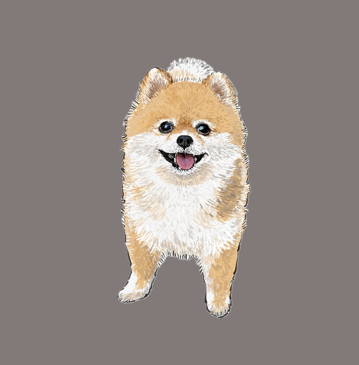 写真から犬の似顔絵を描きます お気に入りの表情の「ワンちゃんの写真」から似顔絵を描きます イメージ3