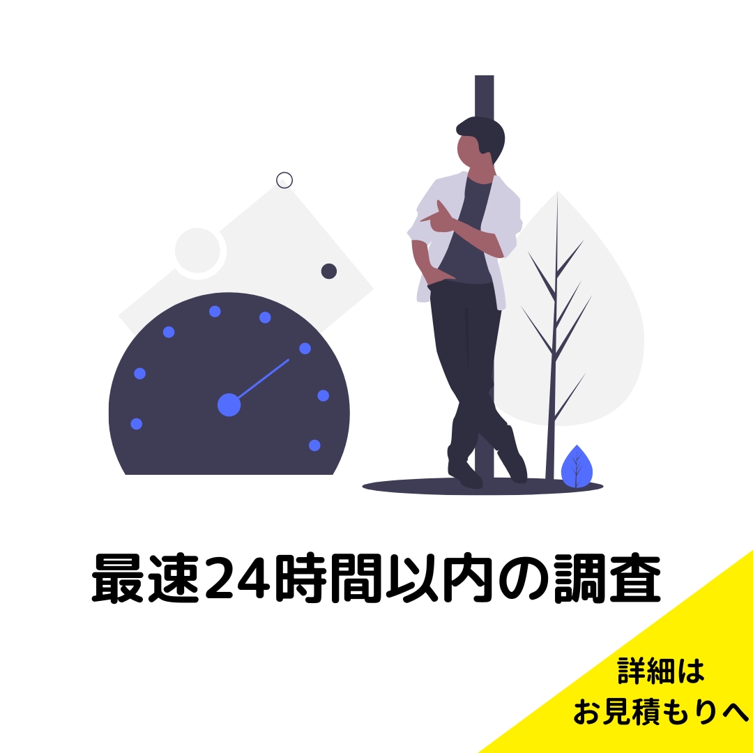 最安で市場調査・卒論webアンケート収集代行します ココナラ最安/アンケート/卒業論文/新規事業/ブログ/補助金 イメージ8