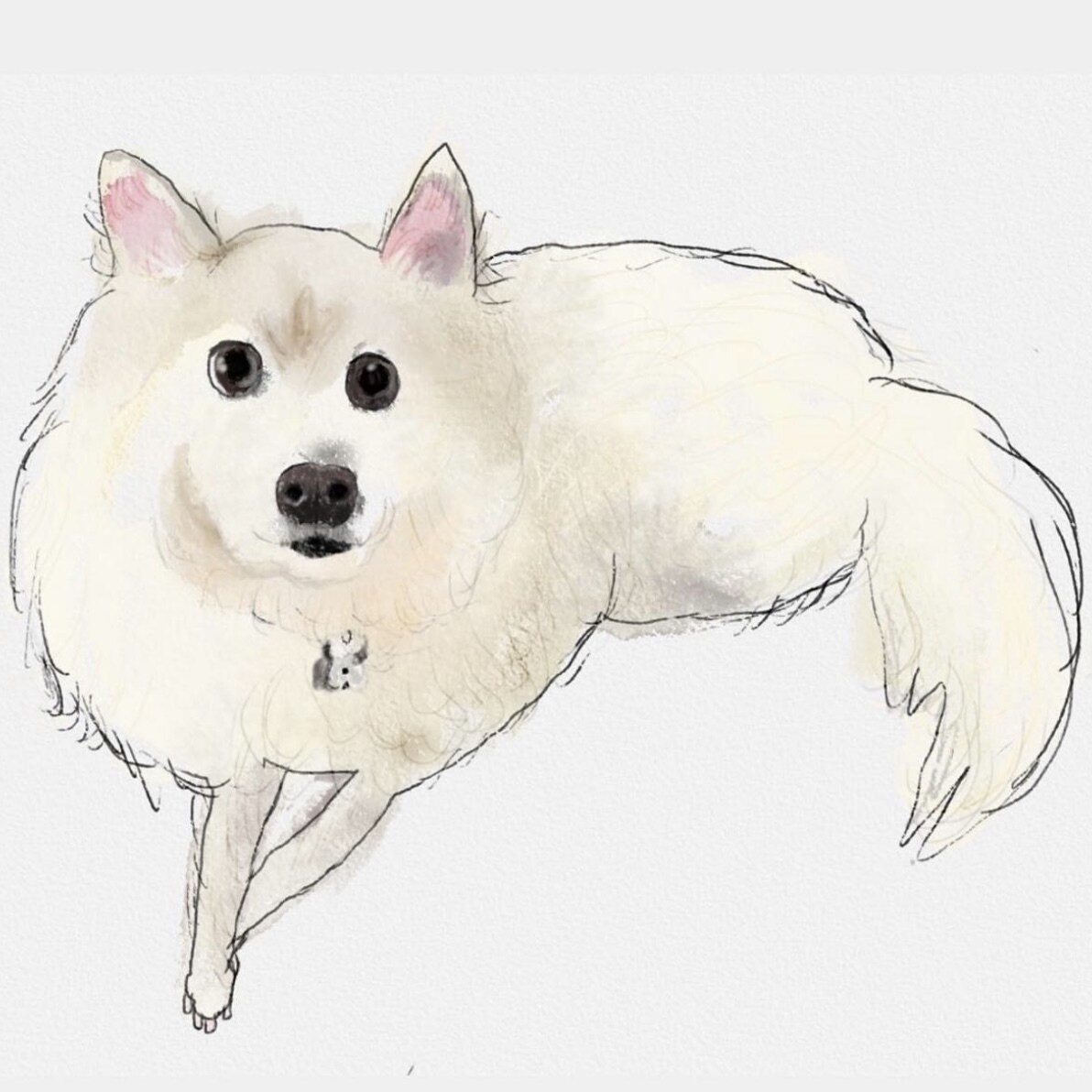 ゆるっと可愛く！ペットのイラスト描きます リアルだけど、可愛いタッチの世界に一つのイラストを心込めて イメージ5