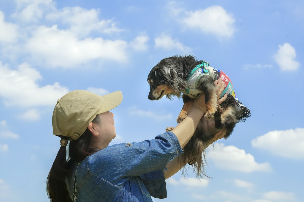 犬、猫、ペットの可愛い表情を撮影します ペットとの大切な日常の思い出を写真に残しませんか？ イメージ4