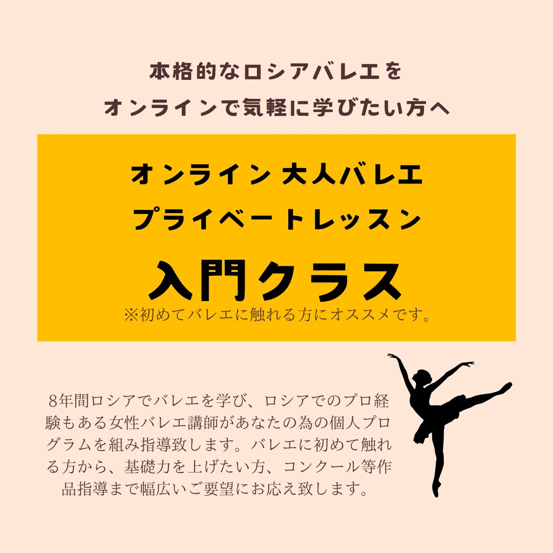 大人バレエのプライベートレッスンをします バレエに初めて触れる方に寄り添ったレッスンです。 イメージ1