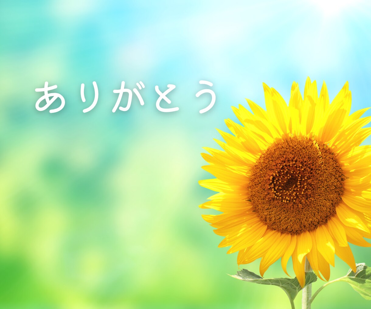 頑張ってる あなたのこと 優しく 褒めちゃいます 自己肯定感アップ 人間関係 仕事 失敗 夫婦関係 恋愛 イメージ2