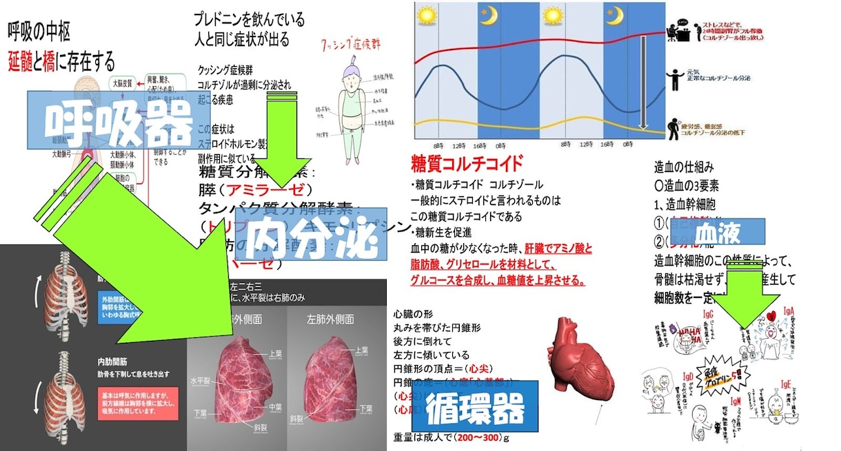 看護師国家試験対策ます １ヶ月前からでも勉強し合格した教材（必見） イメージ1