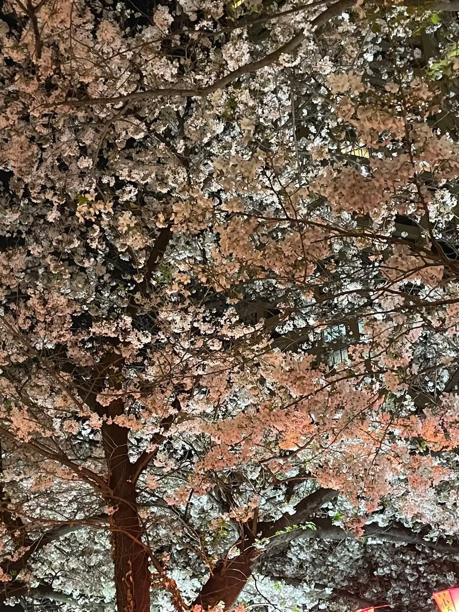 モテるInstagramのプロフィールを作ります 垢抜けないInstagramのプロフィールを卒業しよう！ イメージ1