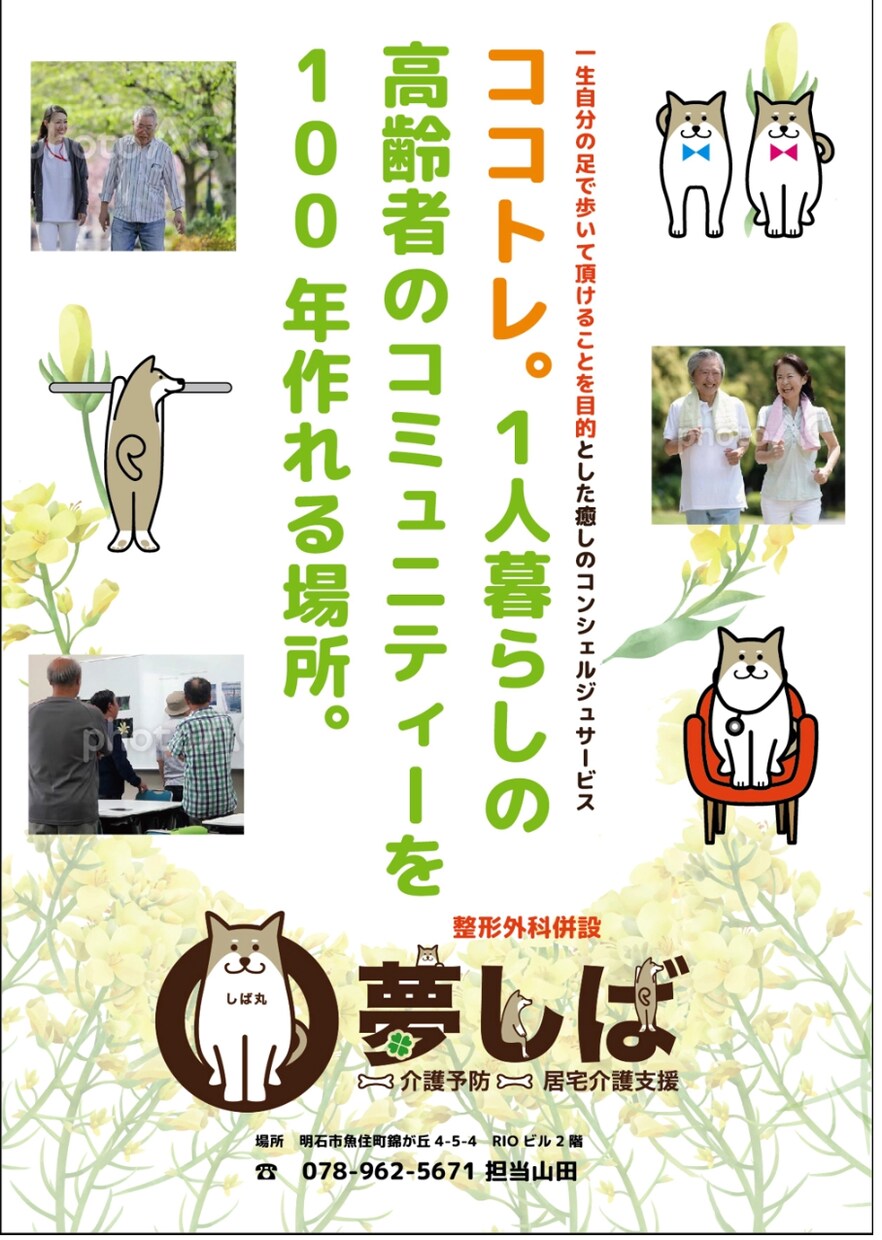 プロのデザイナーがA3広告15000円で作成します プロが作る説得力のある販促物でビジネスを積極的に広げましょう イメージ3