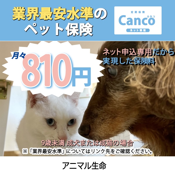 SNSや広告で使えるバナー画像作成します 低価格1500円！誠実に対応いたします！ イメージ2
