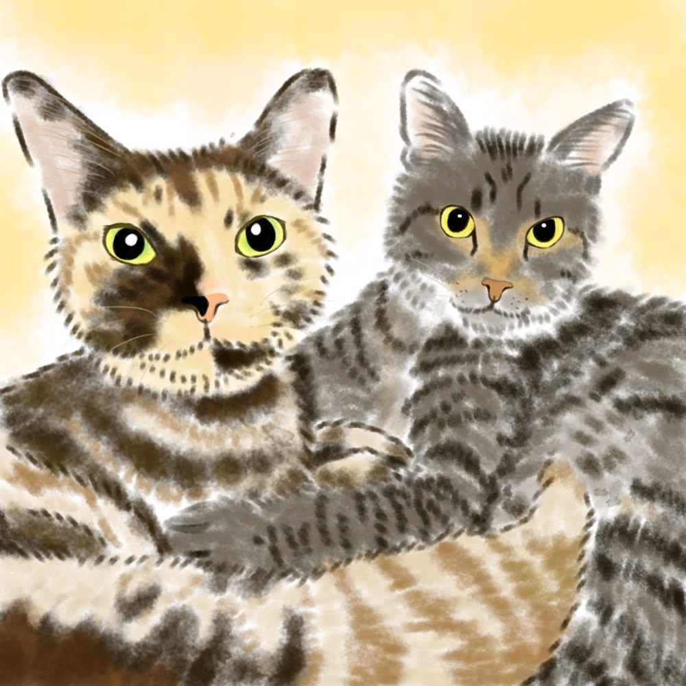SNSアイコン向け猫ちゃんイラスト作成します ふんわり優しいタッチで仕上げます。 イメージ4