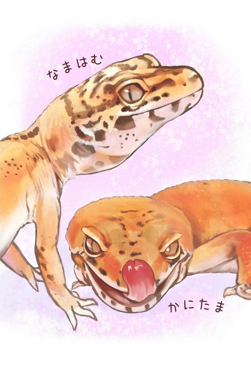 大切なペットのお写真をデジタルイラストにします 爬虫類、両生類、奇虫など、幅広くお描きします。 イメージ4
