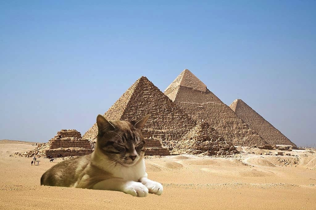 ジャケ写や写真の加工、撮影承ります 経験：写真大学生　スキル：Photoshopでの加工や撮影 イメージ10