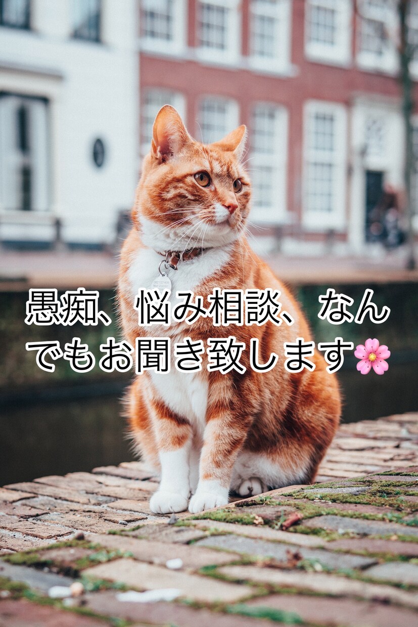 ワンコインで◎3日間トークします 悩み相談、愚痴、なんでも話し相手になります❤︎ イメージ1