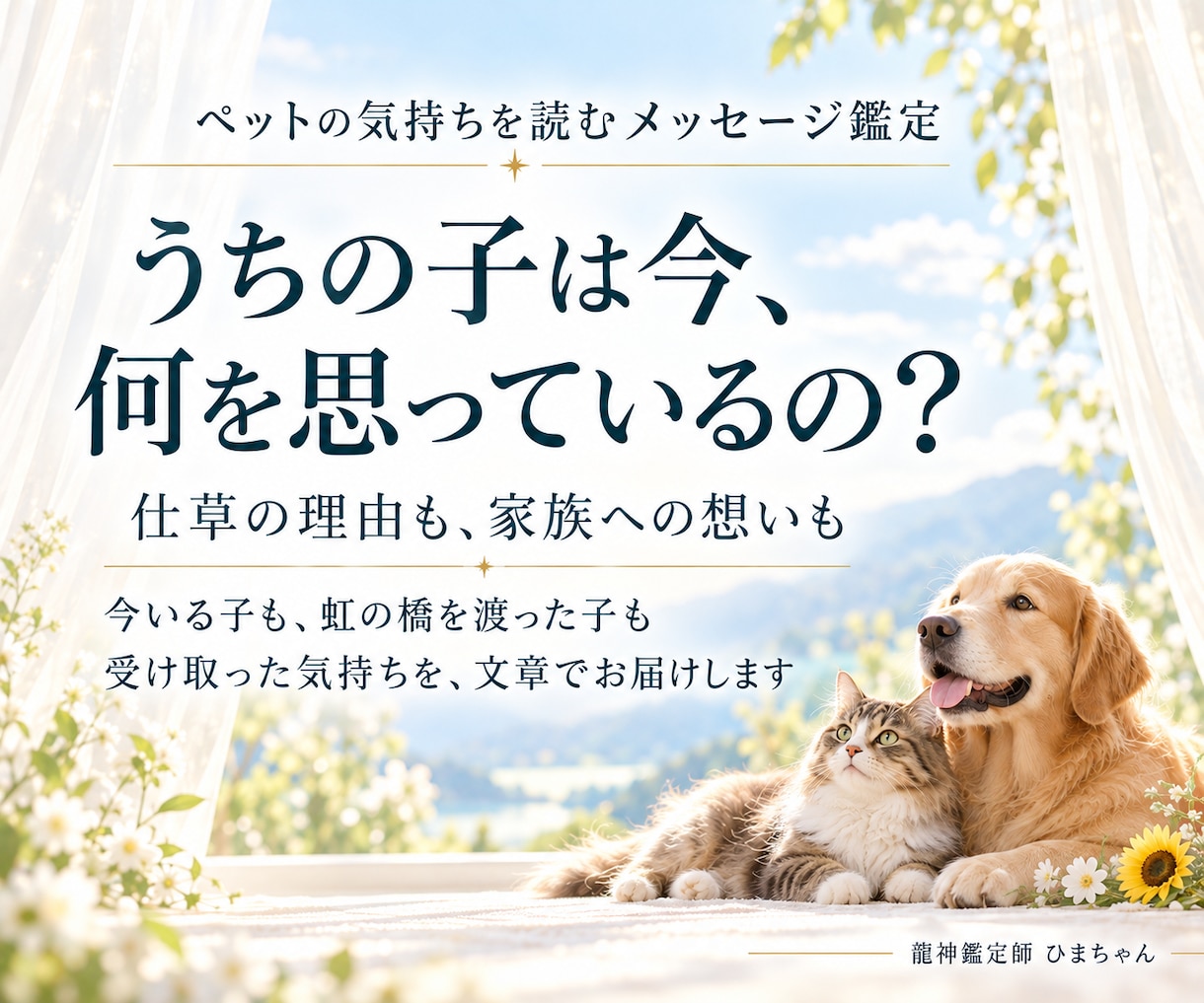 ペットの気持ちと家族への想いを文章で届けます 今いる子も旅立った子も、受け取った想いを文章でお届けします イメージ1