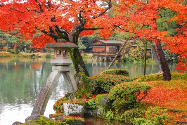 終わった旅、これからの旅の話聞きます 旅行経験豊富!旅の話で盛り上がりましょう! イメージ4
