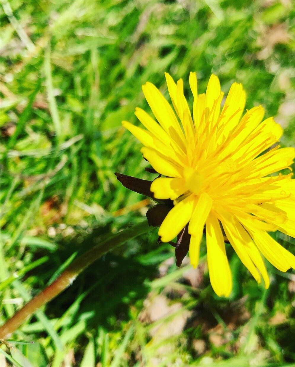 風景の写真が欲しい方、写真撮ります 風景をなかなか撮りに行けない方に自然を動画にしたい方など イメージ6