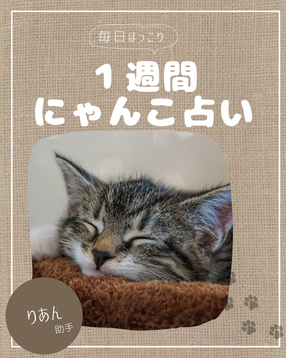 1週間にゃんこ占い！10名限定で占います 読むだけで心がほぐれるにゃんこ流アドバイスで前向きに♪ イメージ1