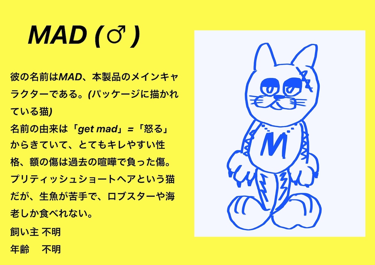 キャラクターデザインします 可愛いくて面白いコンセプトがあるキャラクター。 イメージ3