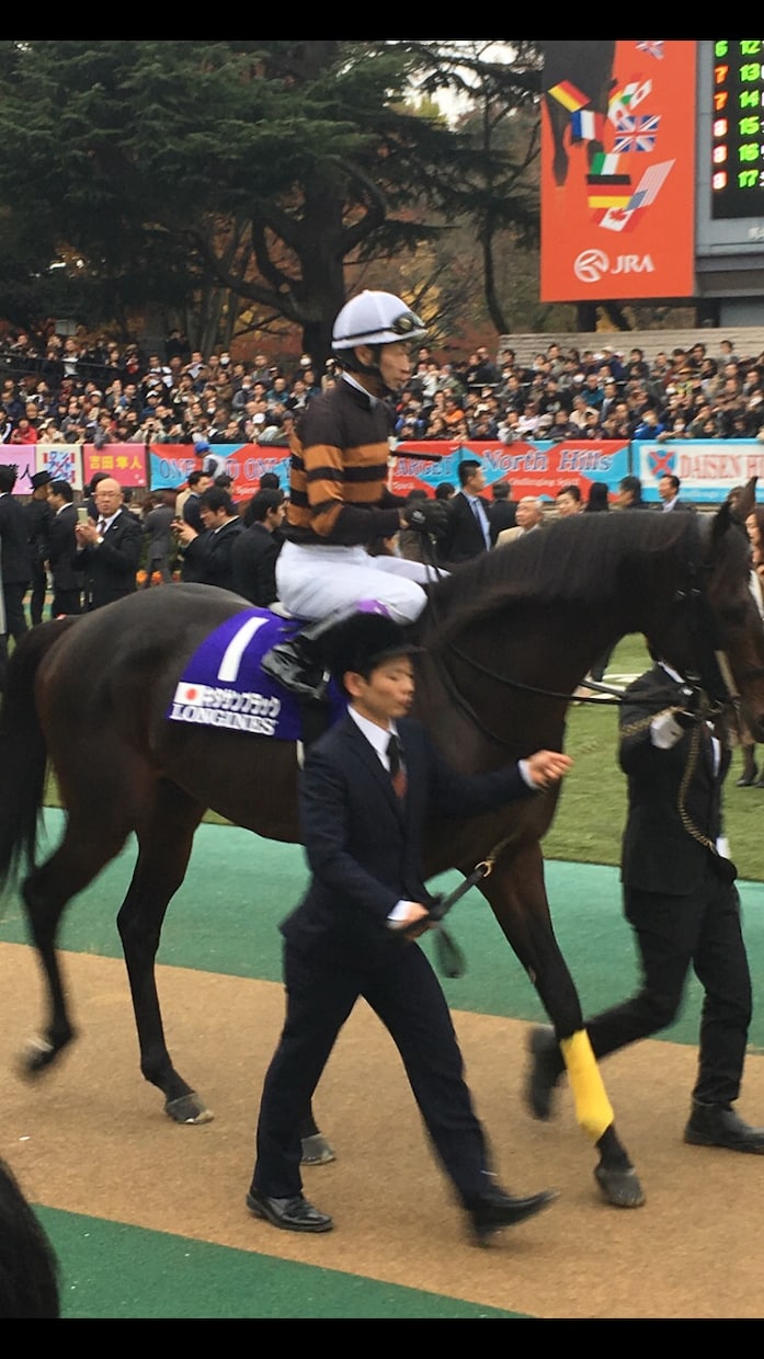 競馬教えます 無駄な買い方してませんか？プラス収支にしましょう！ イメージ4