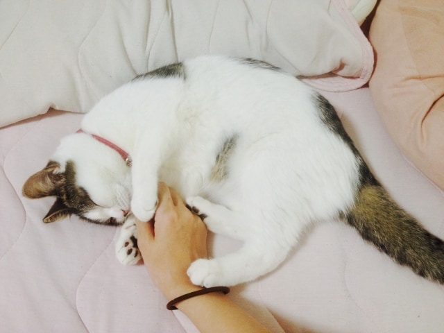 うちの親って毒親？家族の悩み、受け止めます アダルトチルドレン、毒親、過干渉、愛情飢餓…なんでもどうぞ イメージ7