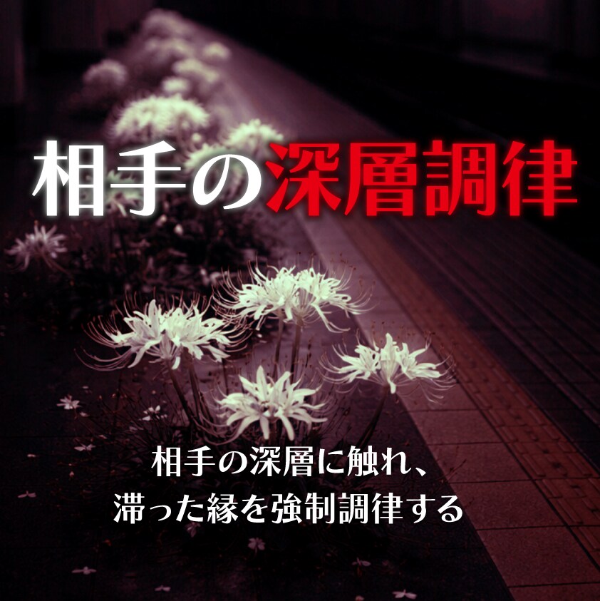 限定価格⭐︎相手の深層に触れ、滞った縁を調律します ✦ 二人の領域が重なる地点へ潜行し、貴方との導線を繋ぐ。 イメージ1