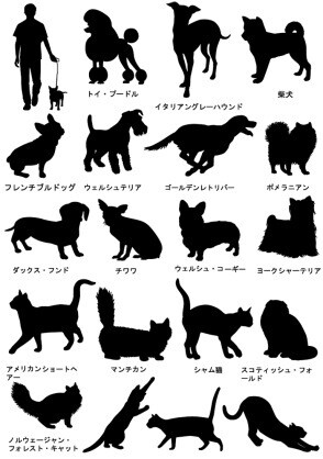 ドッグセラピストがグッズ選びもお手伝いします ワンコを飼いたいけどここが不安!な方へ イメージ1