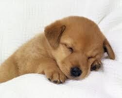 夜中限定〜　眠れない夜に、おしゃべりします 眠れないですね。こんな時は楽しくおしゃべりしましょう！ イメージ1