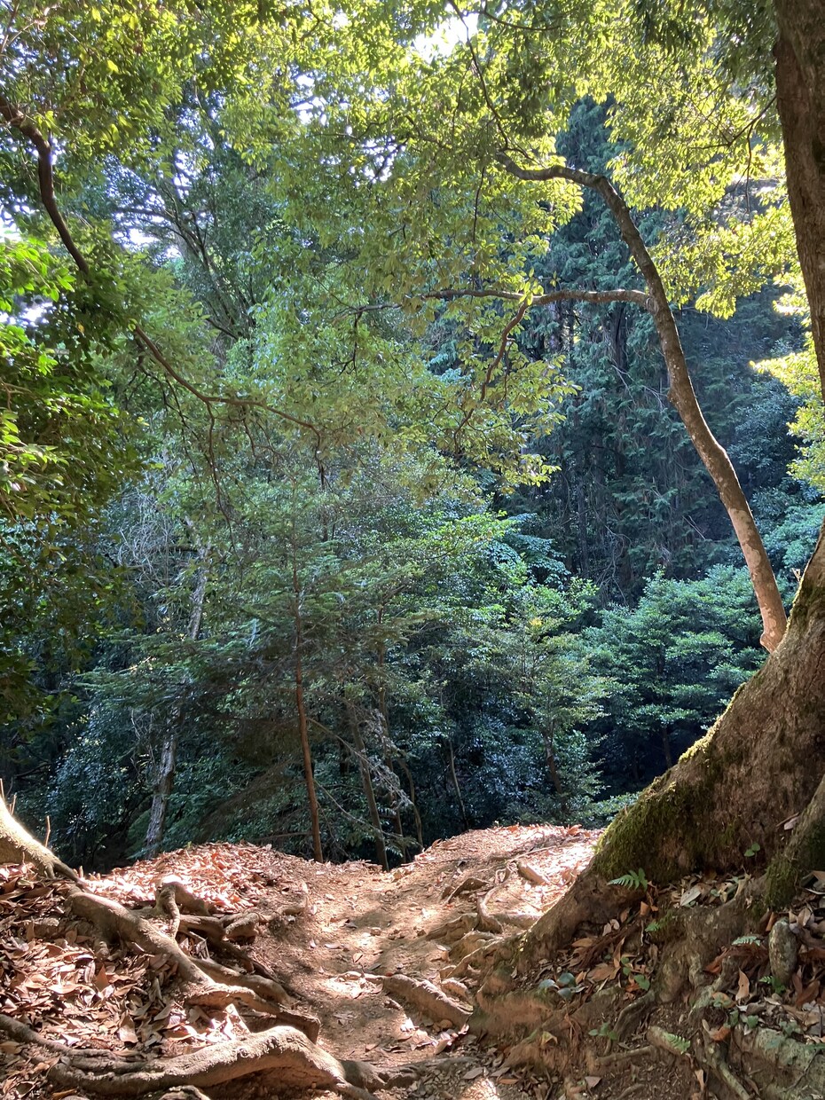 カルマパターンを見つけシータヒーリング（θ波）ます 何度も繰り返すカルマを追求し言霊とθ波をおろし浄化 イメージ1