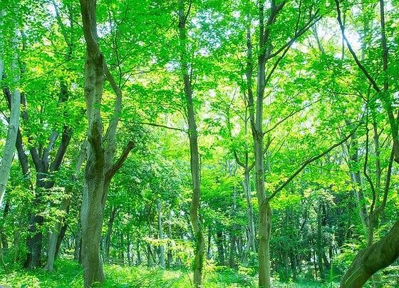 あなたの心を紐解きます 分析結果を活用して自分の人生を立体的にとらえましょう。 イメージ1