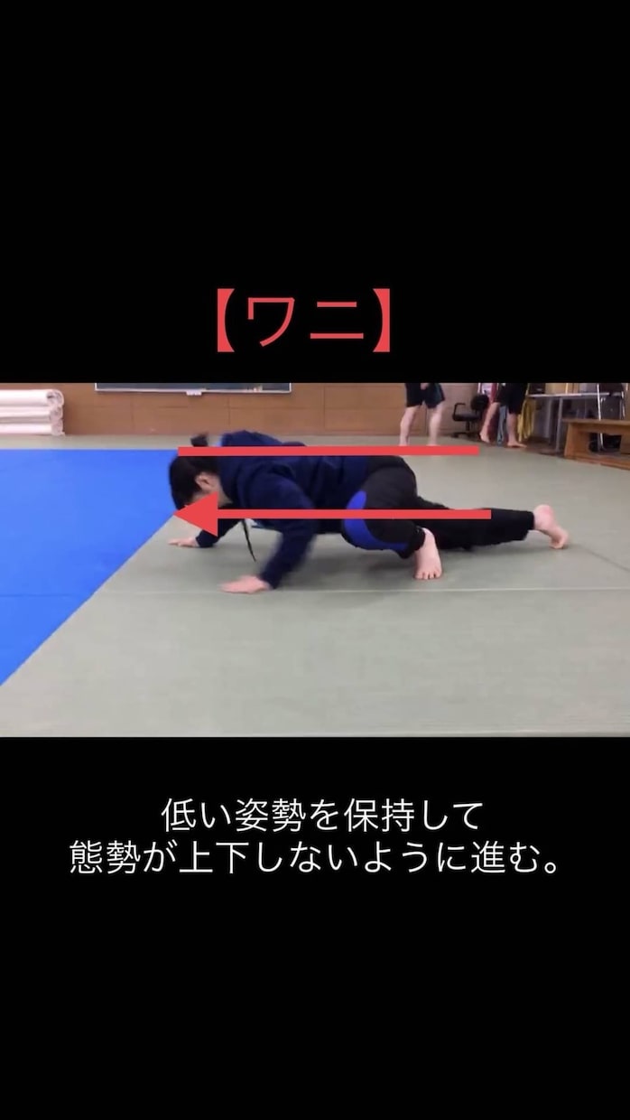 お子さんと一緒に運動できるメニュー作ります 楽しく動いて運動不足解消！お子さんも遊びながら運動できる！ イメージ1