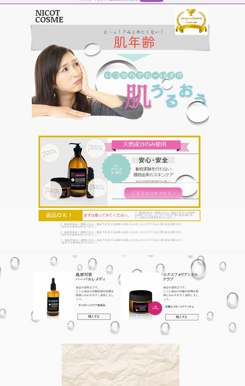 １０，０００円でホームページ制作承ります 最安・最速でスマホ対応もバッチリ！コンパクトなHPをご提供。 イメージ7