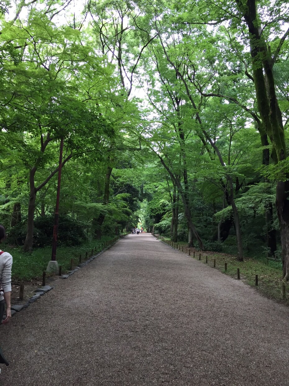 のんびりおしゃべりして、心を休めませんか？ イメージ2