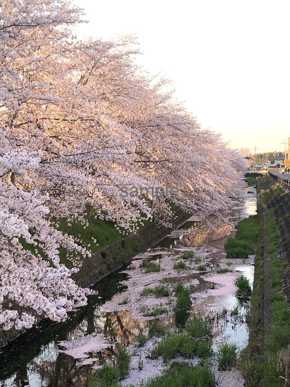 完全オリジナル写真素材を提供いたします 風景・グルメ等、フォトグラファー独自の作品のご提供となります イメージ5