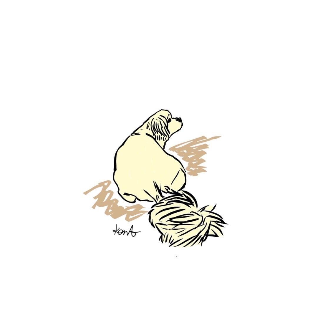 世界に一つだけ！あなたのイラスト描きます 自分の周りを５ミリおしゃれにしたい方へ！！ イメージ9